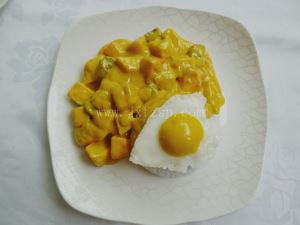 食品模型 土豆咖哩饭