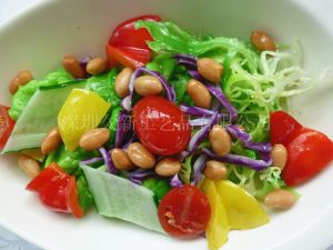 菜模 鲜果蔬菜沙拉菜模