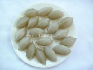 仿真食品 笋板仿真菜