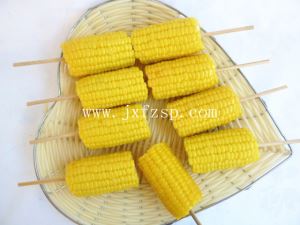 样品菜 儿童玉米样品菜