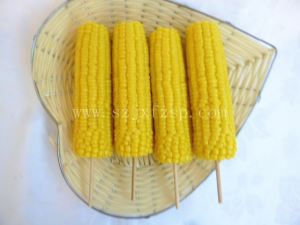 仿真菜 水煮甜玉米仿真菜