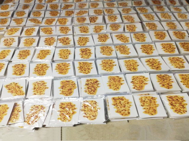上海客户定制的批萨食品模型已完成交货